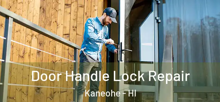 Door Handle Lock Repair Kaneohe - HI