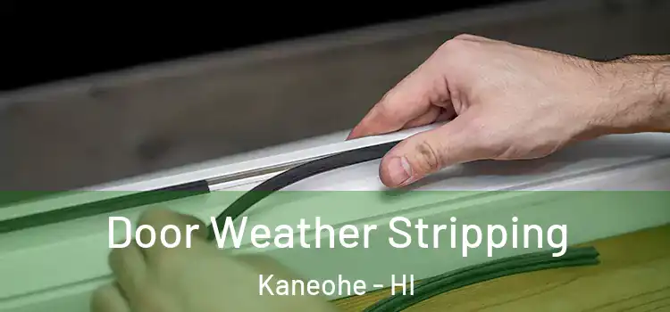 Door Weather Stripping Kaneohe - HI