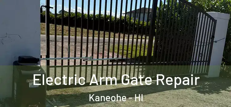 Electric Arm Gate Repair Kaneohe - HI