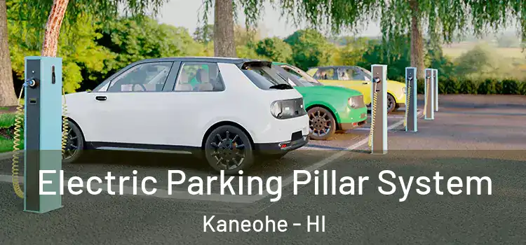  Electric Parking Pillar System Kaneohe - HI