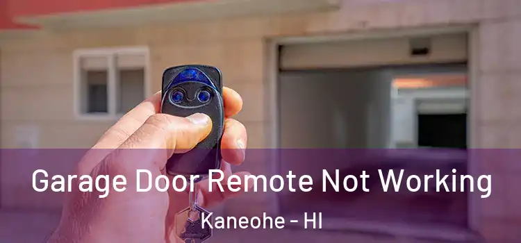 Garage Door Remote Not Working Kaneohe - HI