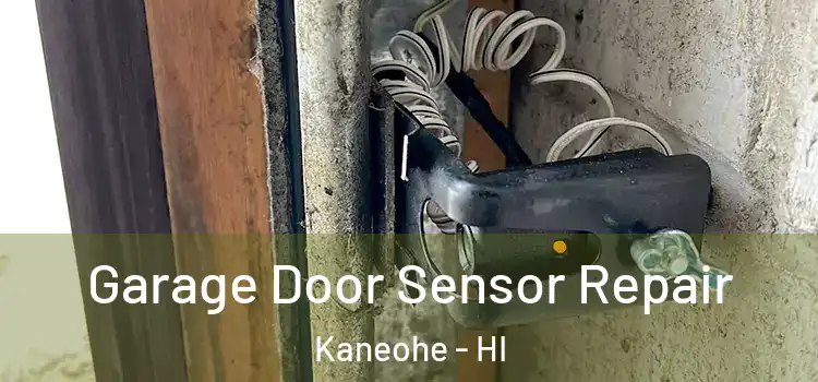 Garage Door Sensor Repair Kaneohe - HI