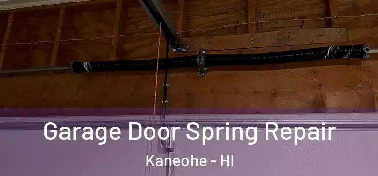 Garage Door Spring Repair Kaneohe - HI
