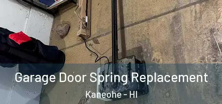  Garage Door Spring Replacement Kaneohe - HI