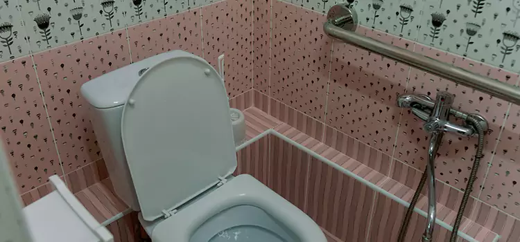 Meeting Diverse Needs With Accessible Restroom Solutions in Kaneohe, HI