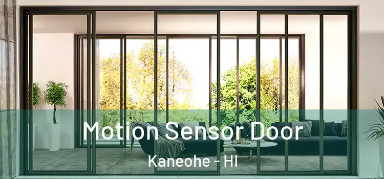 Motion Sensor Door Kaneohe - HI