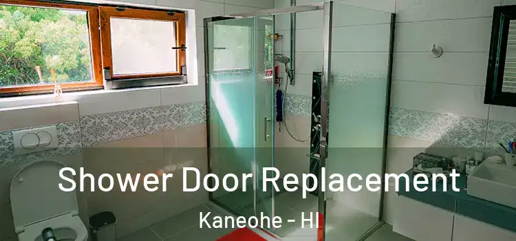  Shower Door Replacement Kaneohe - HI